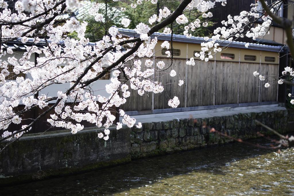 京都市 十宜屋ヴィラ エクステリア 写真