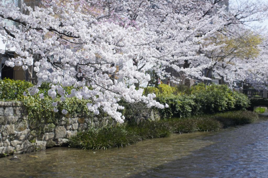 京都市 十宜屋ヴィラ エクステリア 写真