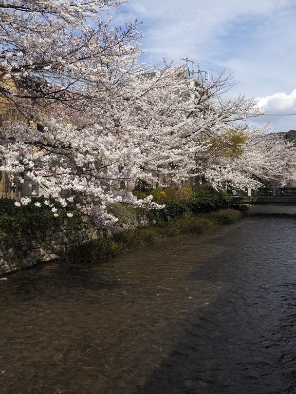 京都市 十宜屋ヴィラ エクステリア 写真