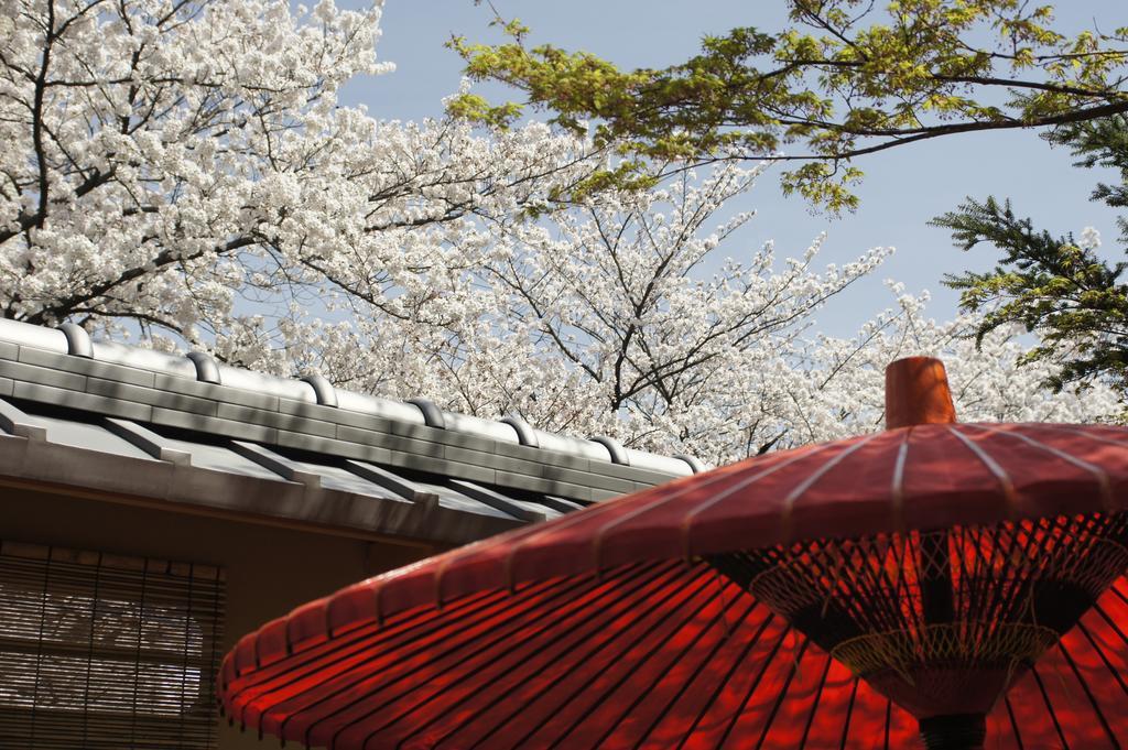 京都市 十宜屋ヴィラ エクステリア 写真